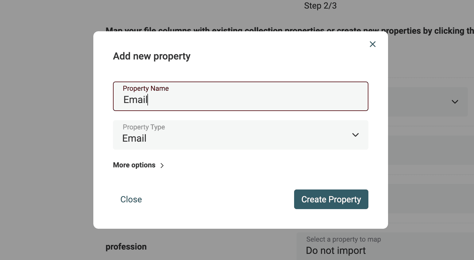 New Property Settings