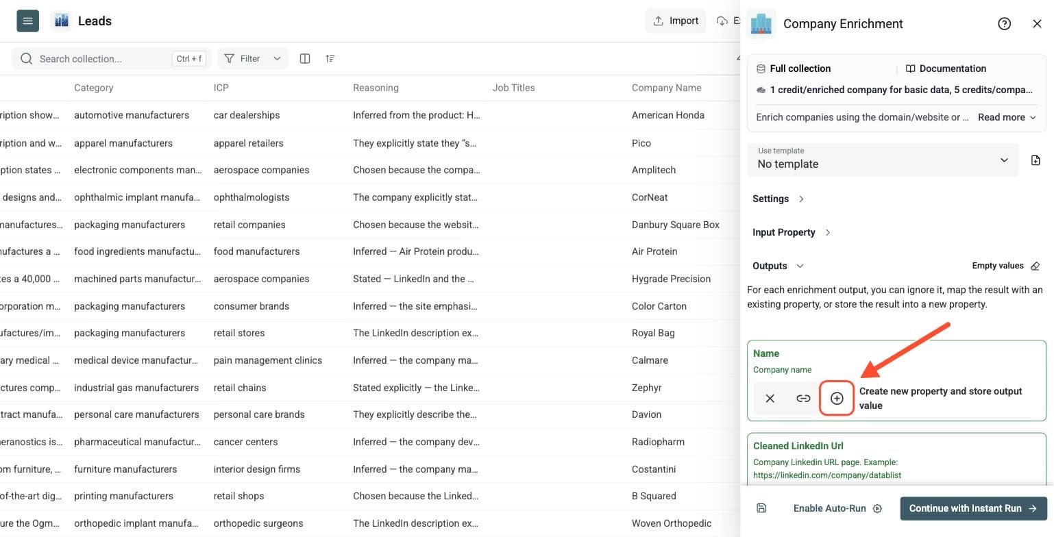 Company Enrichment - Select Outputs