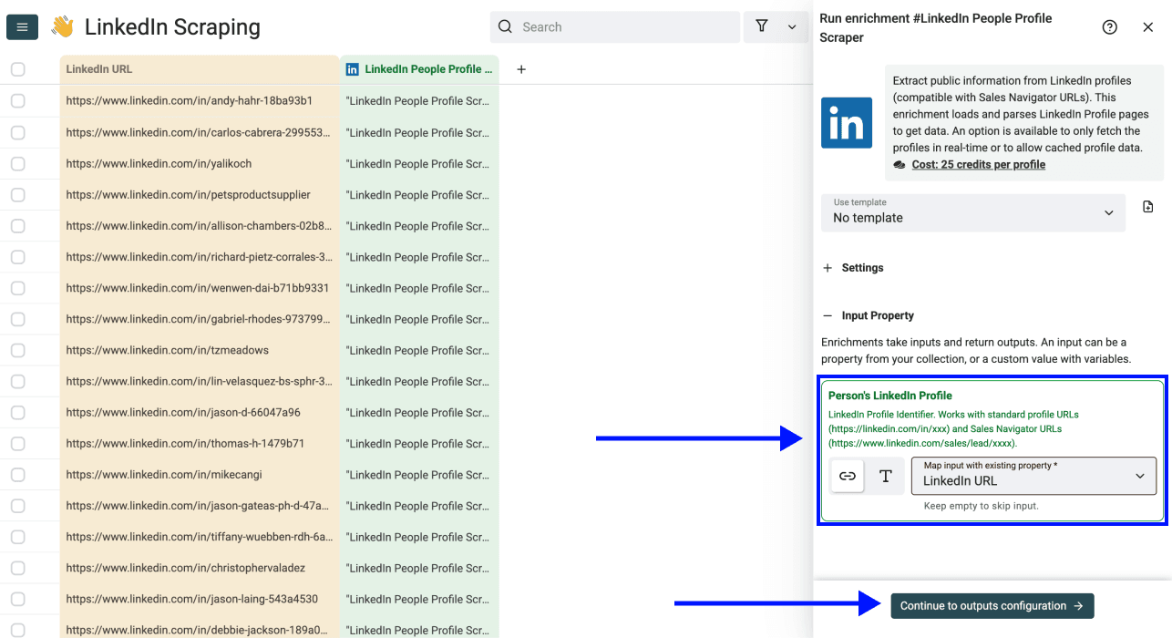 LinkedIn Profile Scraper - Input Configuration