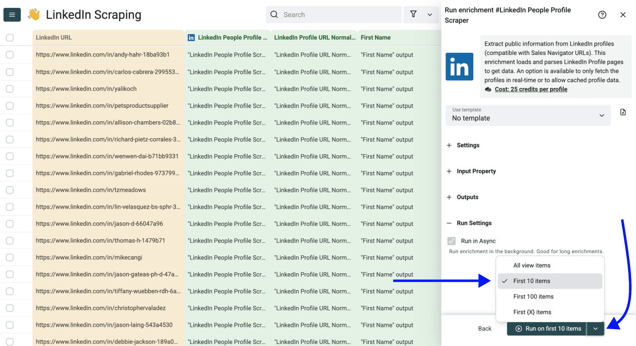 LinkedIn Profile Scraper - Run Settings