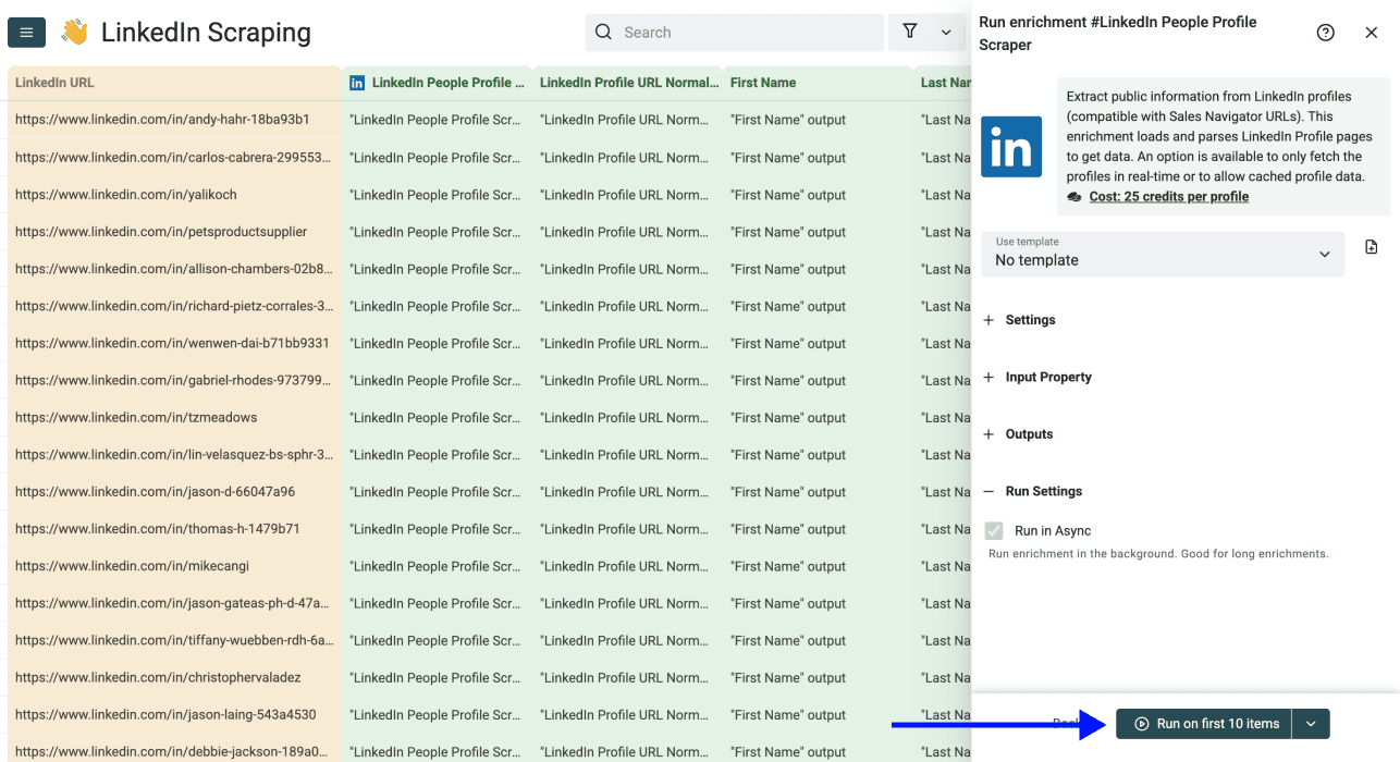 LinkedIn Profile Scraper - Run the Enrichment