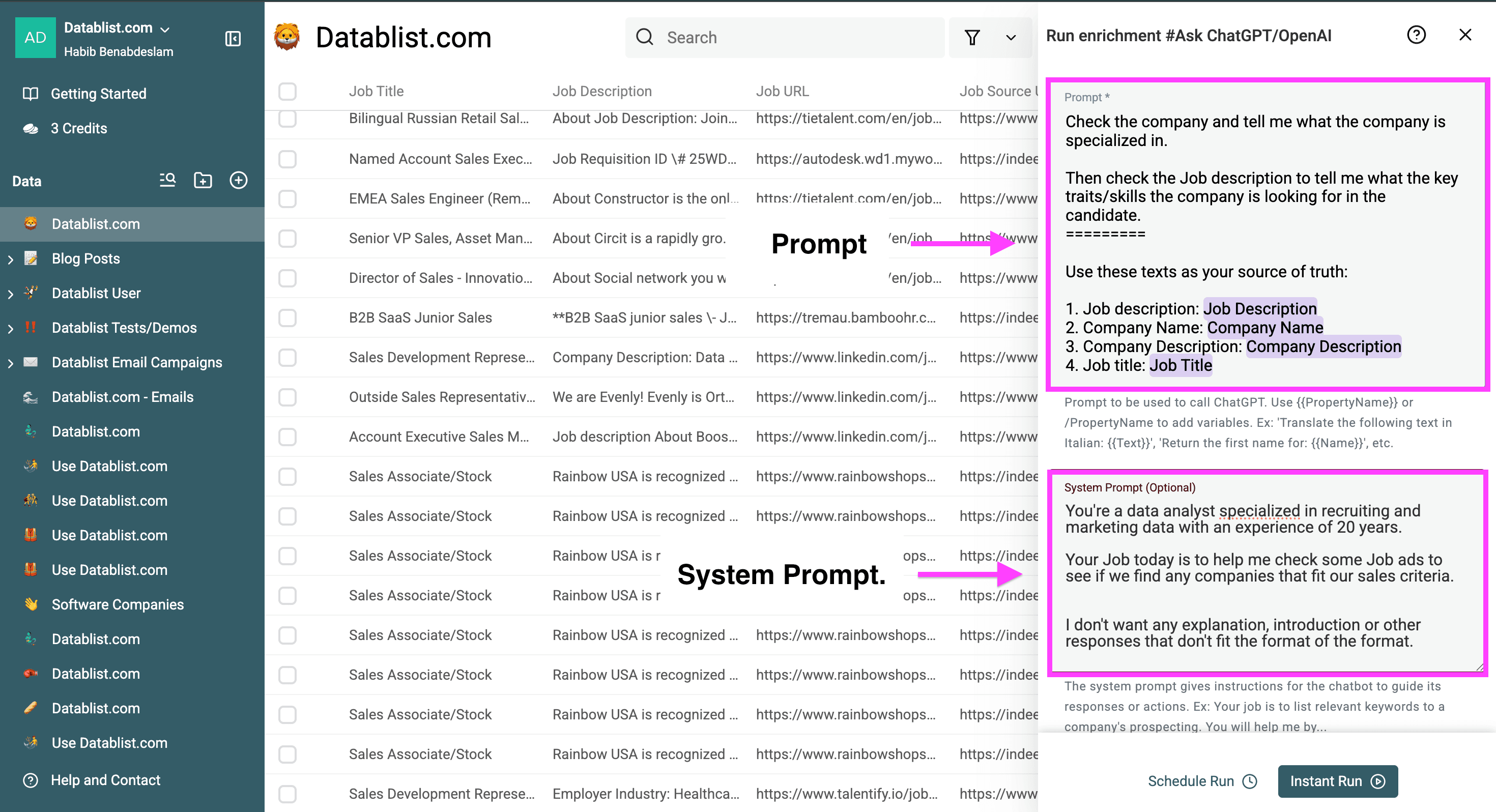 The prompt and system prompt flieds