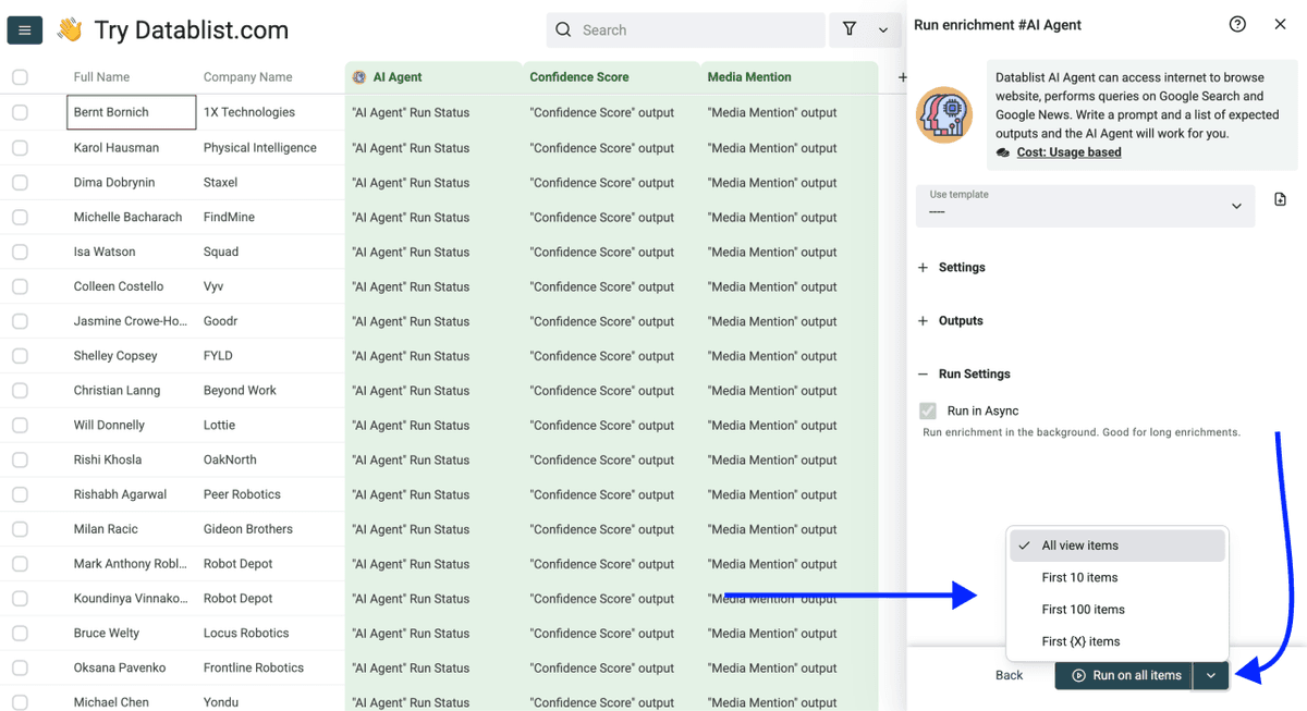 How To Use ChatGPT Search in a Spreadsheet - Run Settings