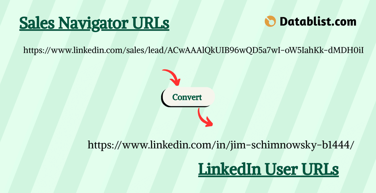 Sales Navigator URLs omzetten naar LinkedIn URLs