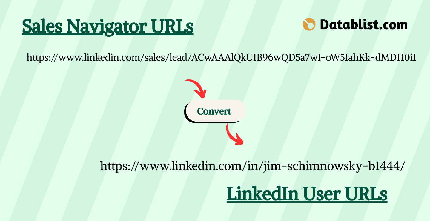Sales Navigator URLs omzetten naar LinkedIn URLs