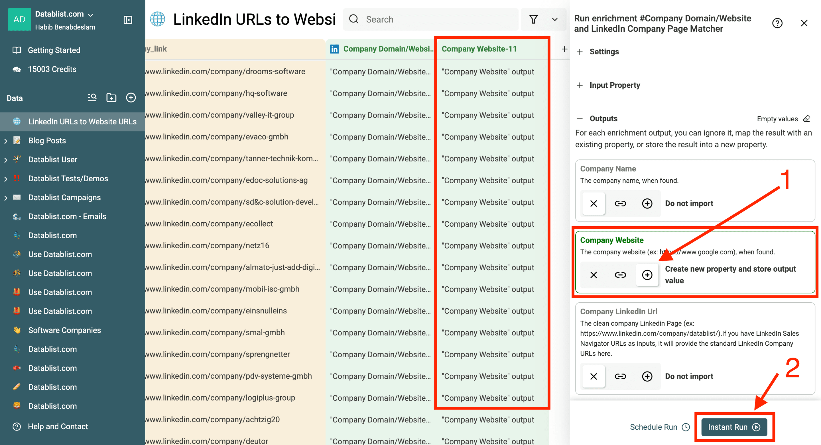 URLs de sites a partir de páginas de empresas no LinkedIn — configuração dos campos de saída