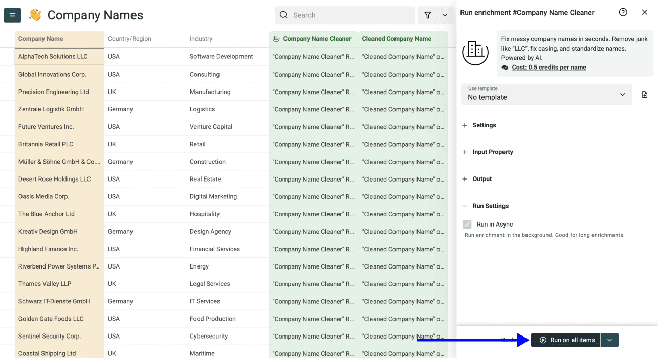 How To Normalize Company Names For Cold Outreach - Run Settings