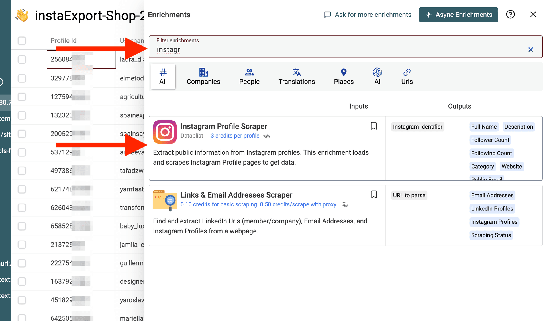 Selecting Instagram Profile Scraper