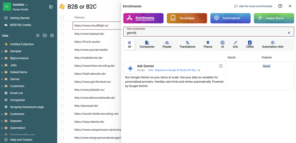 Select Ask Google AI / Gemini enrichment in Datablist store