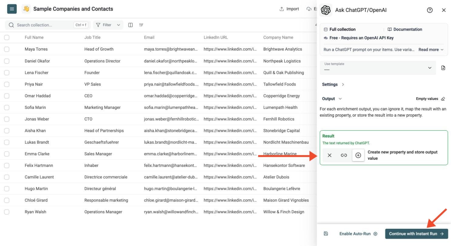 Ask ChatGPT/OpenAI - Choose the Output Columns