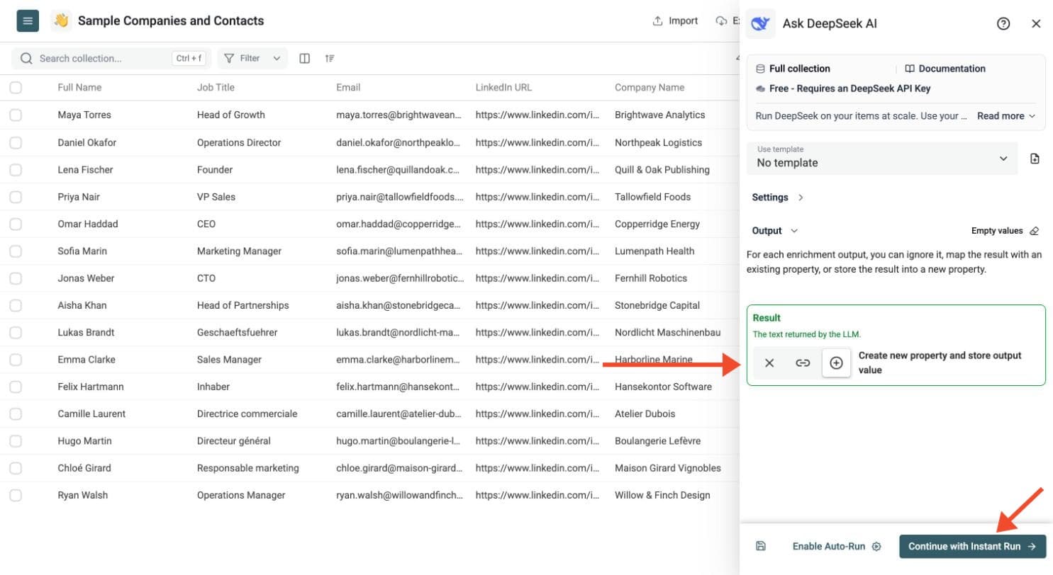 Ask DeepSeek AI - Choose the Output Columns