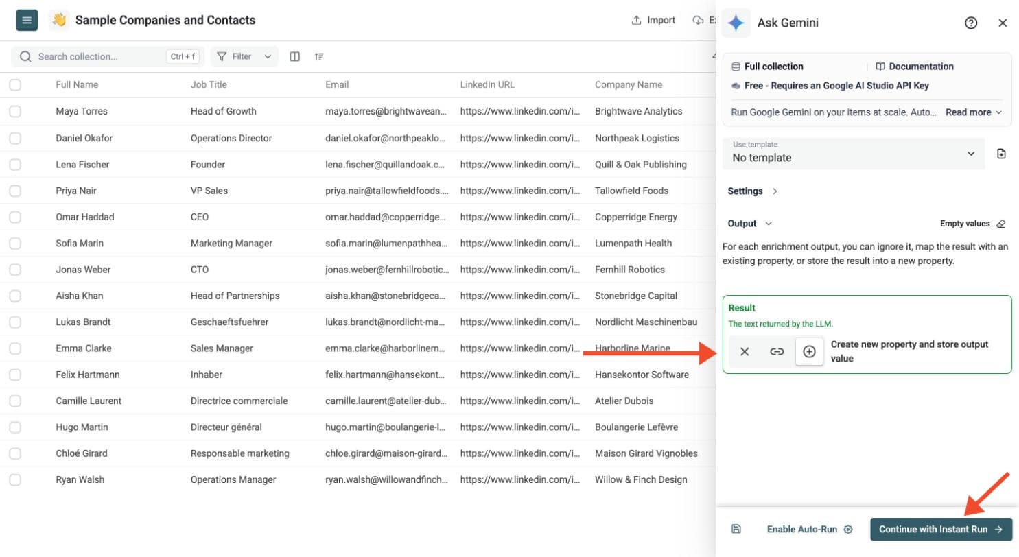 Ask Gemini - Choose the Output Columns