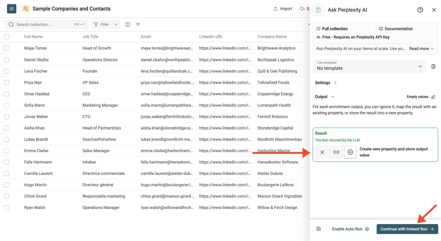 Ask Perplexity AI - Choose the Output Columns