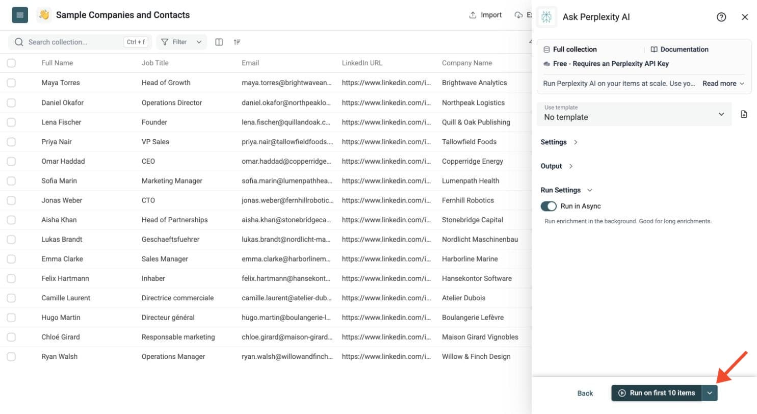 Ask Perplexity AI - Test on a Few Rows, Then Run