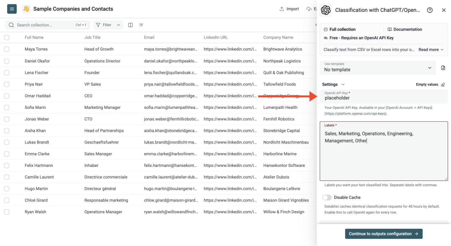 Classification with ChatGPT/OpenAI - Paste Your API Key