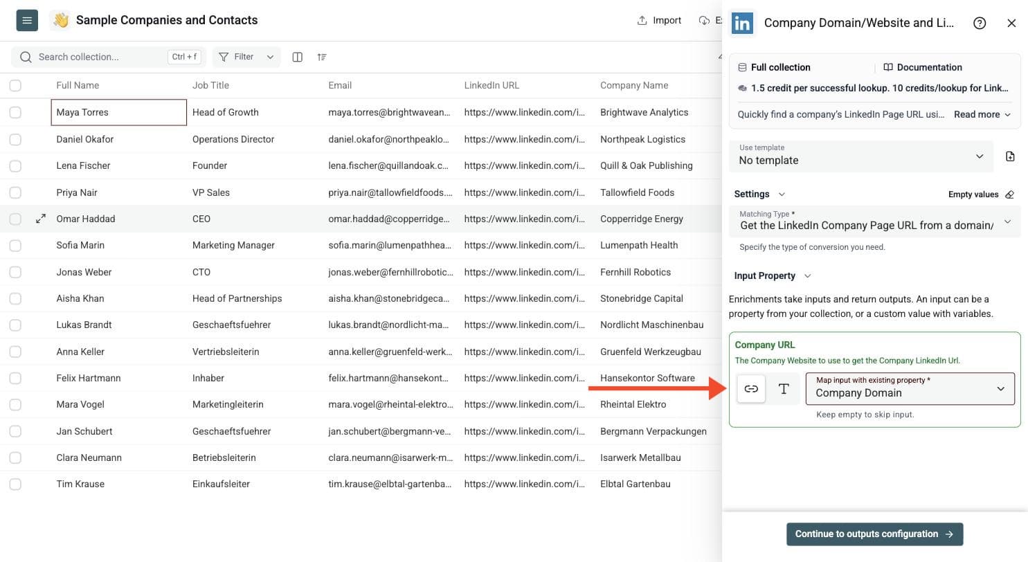 LinkedIn Company URL/Website Lookup - Configure Your Inputs