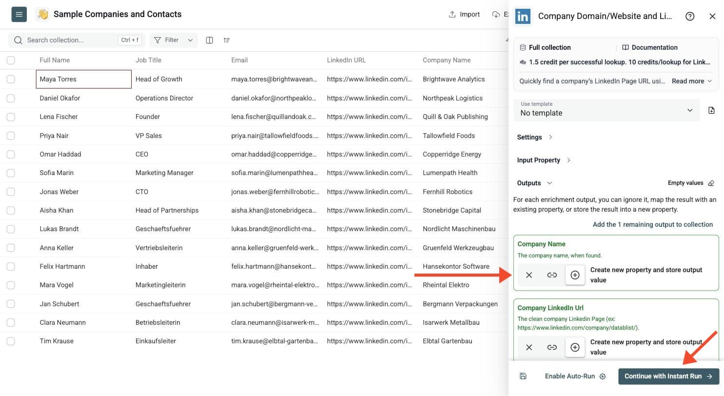 LinkedIn Company URL/Website Lookup - Select Outputs
