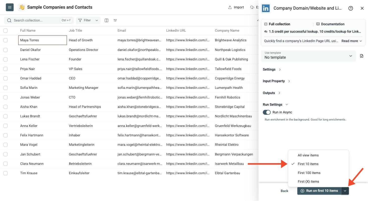 LinkedIn Company URL/Website Lookup - Run the Enrichment