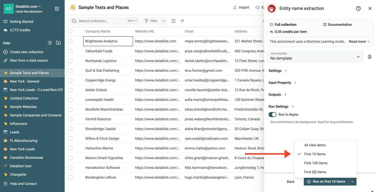 Entity Name Extraction - Run Options