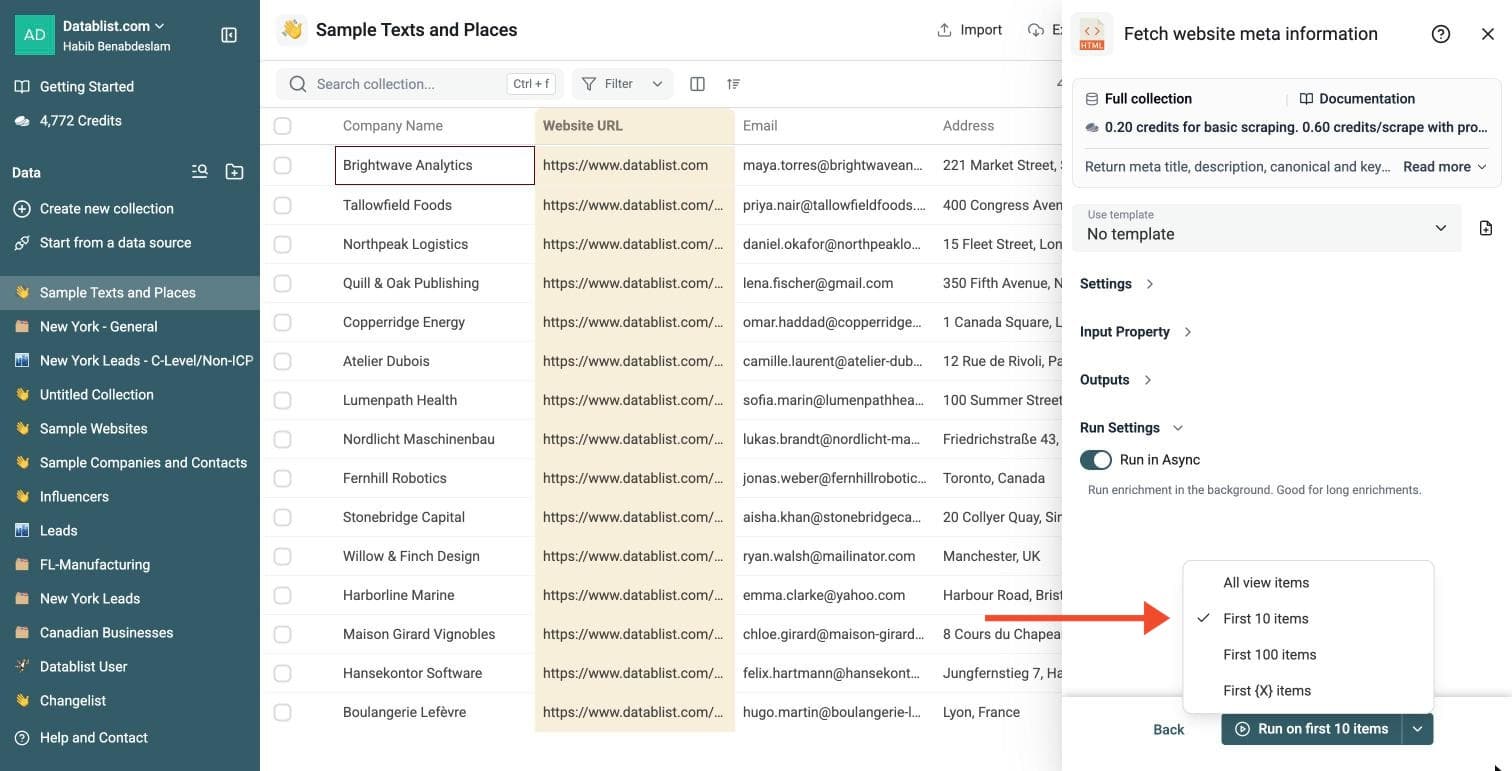 Website Meta Data Fetcher - Run Options