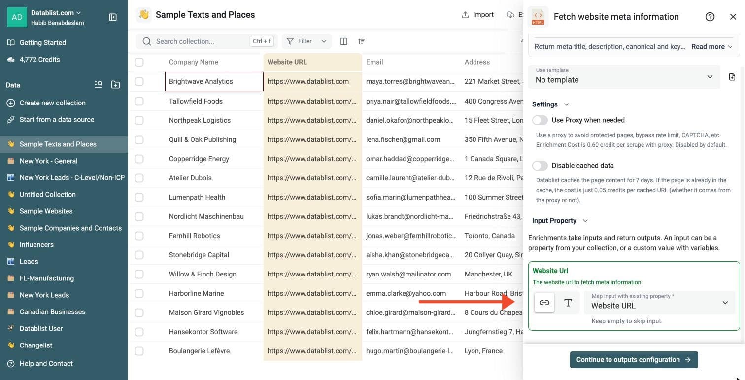 Website Meta Data Fetcher - Configure Your Inputs