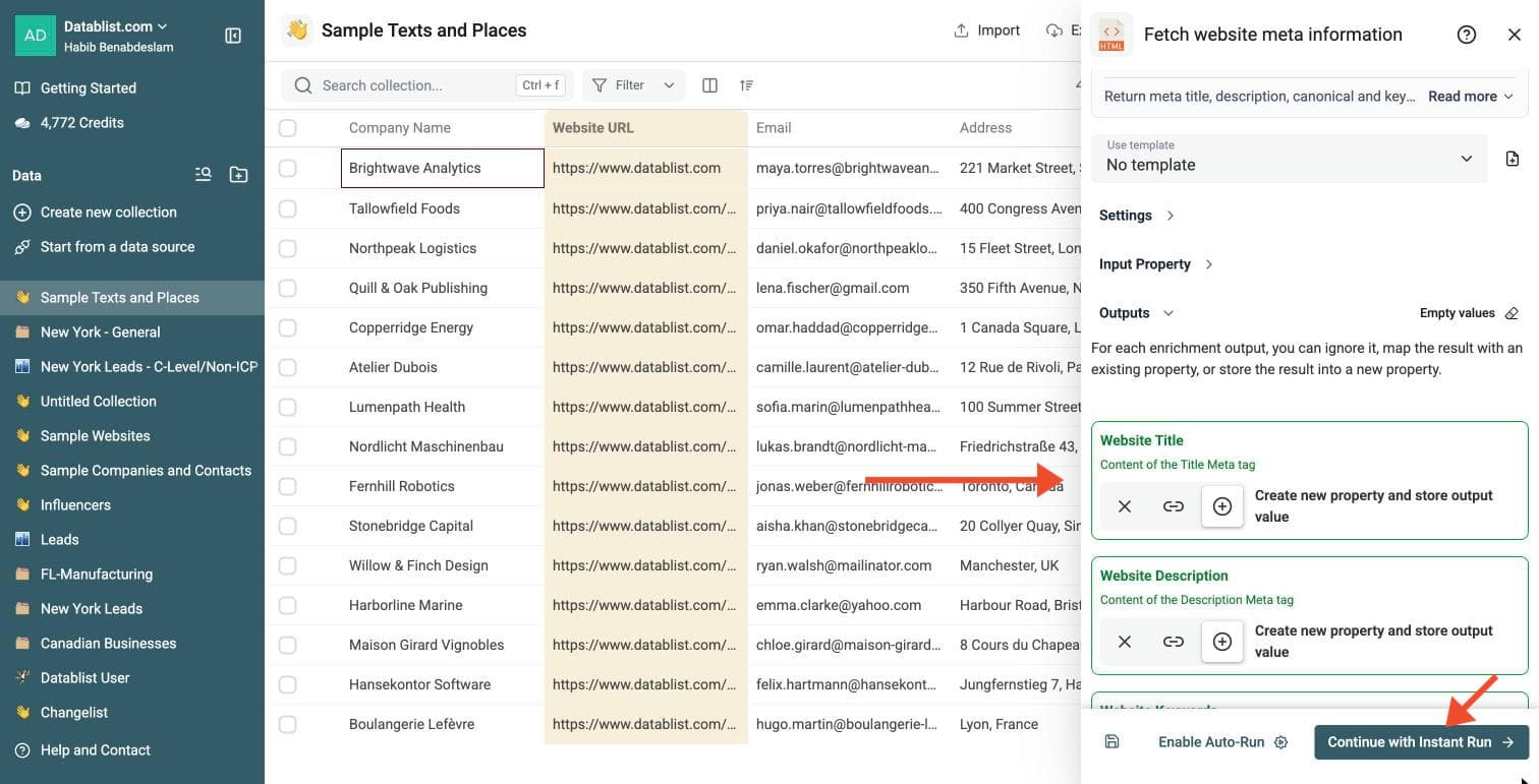Website Meta Data Fetcher - Select Outputs