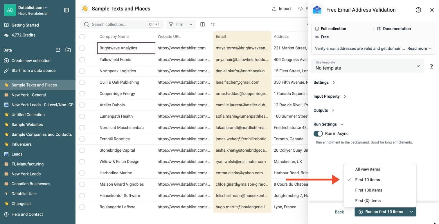Free Email Validation - Run Options