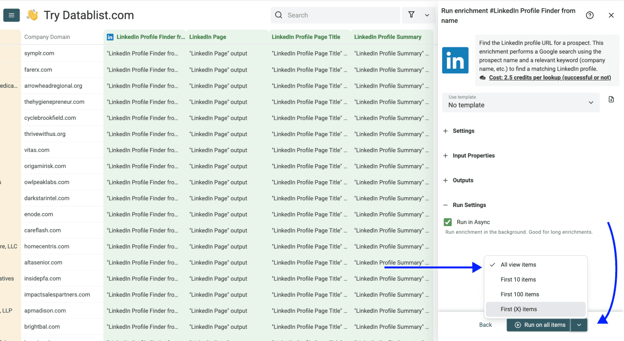 LinkedIn Profile Finder from Name - Run Settings