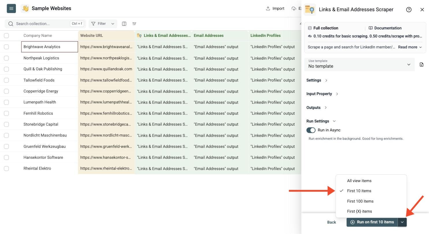 Links & Email Addresses Scraper - Run the Enrichment
