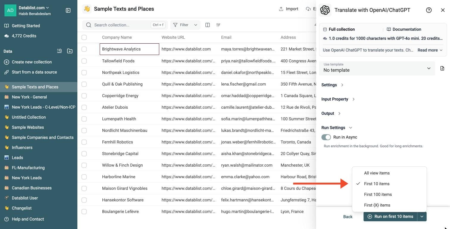 ChatGPT Powered Translation Tool - Run Options