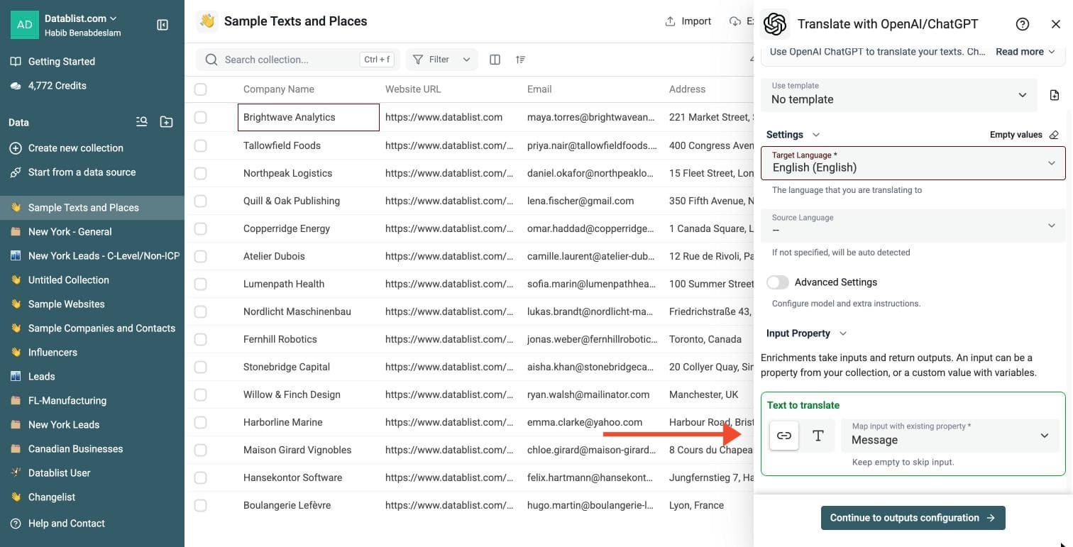 ChatGPT Powered Translation Tool - Configure Your Inputs