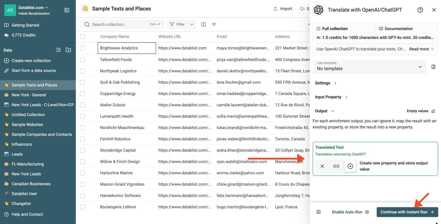 ChatGPT Powered Translation Tool - Select Outputs