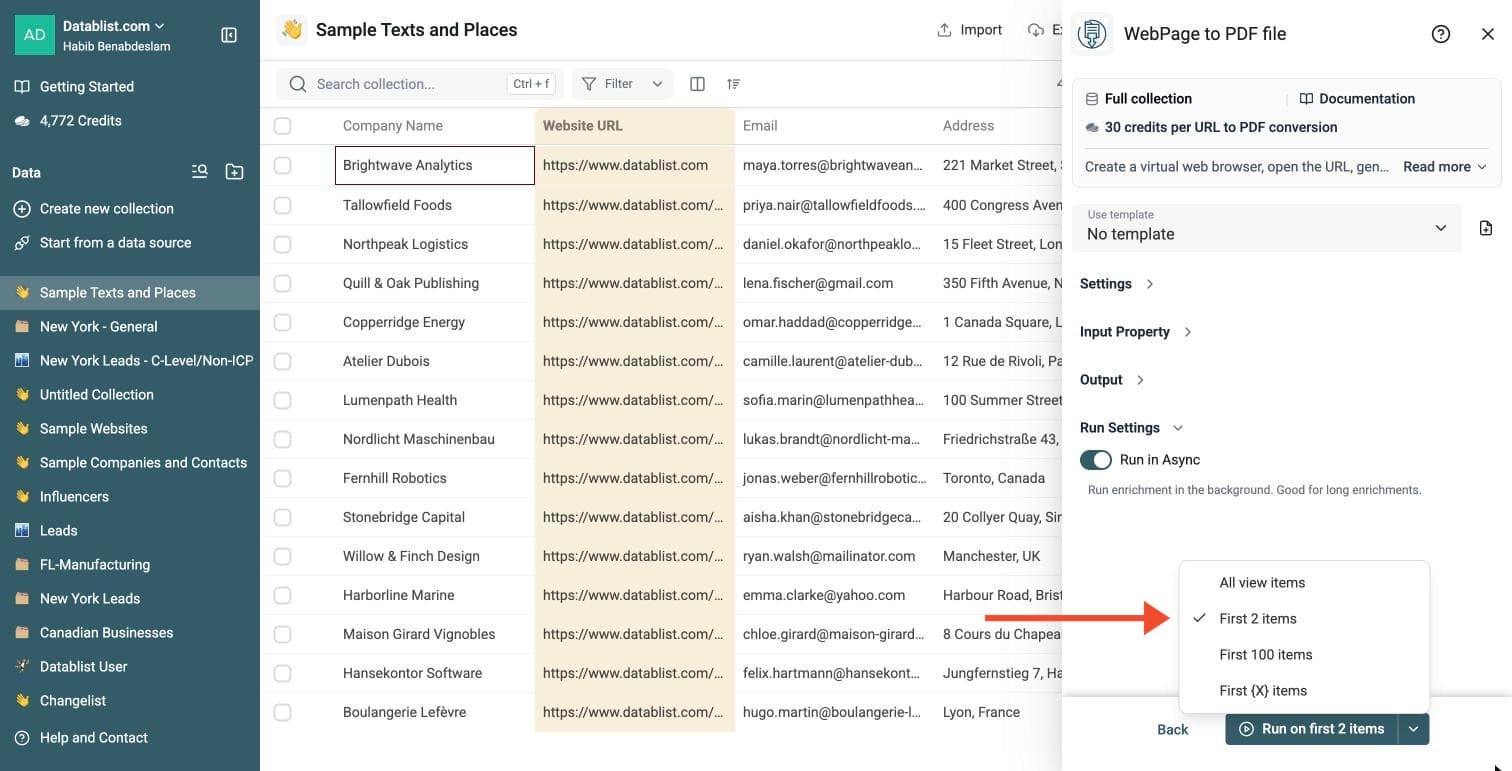 Website to PDF Tool - Run Options