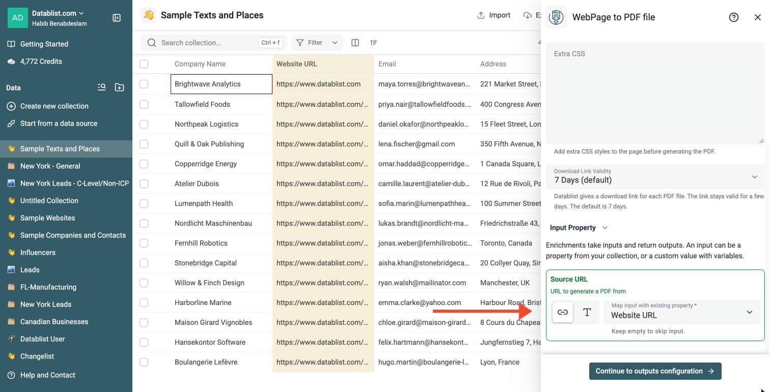 Website to PDF Tool - Configure Your Inputs