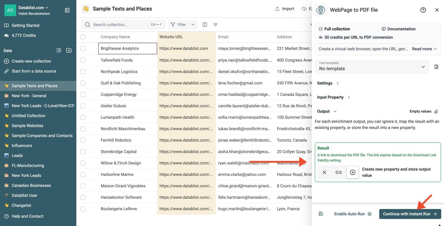 Website to PDF Tool - Select Outputs