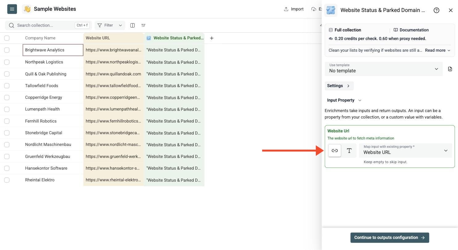 Website Status & Parked Domain Checker - Configure Your Inputs