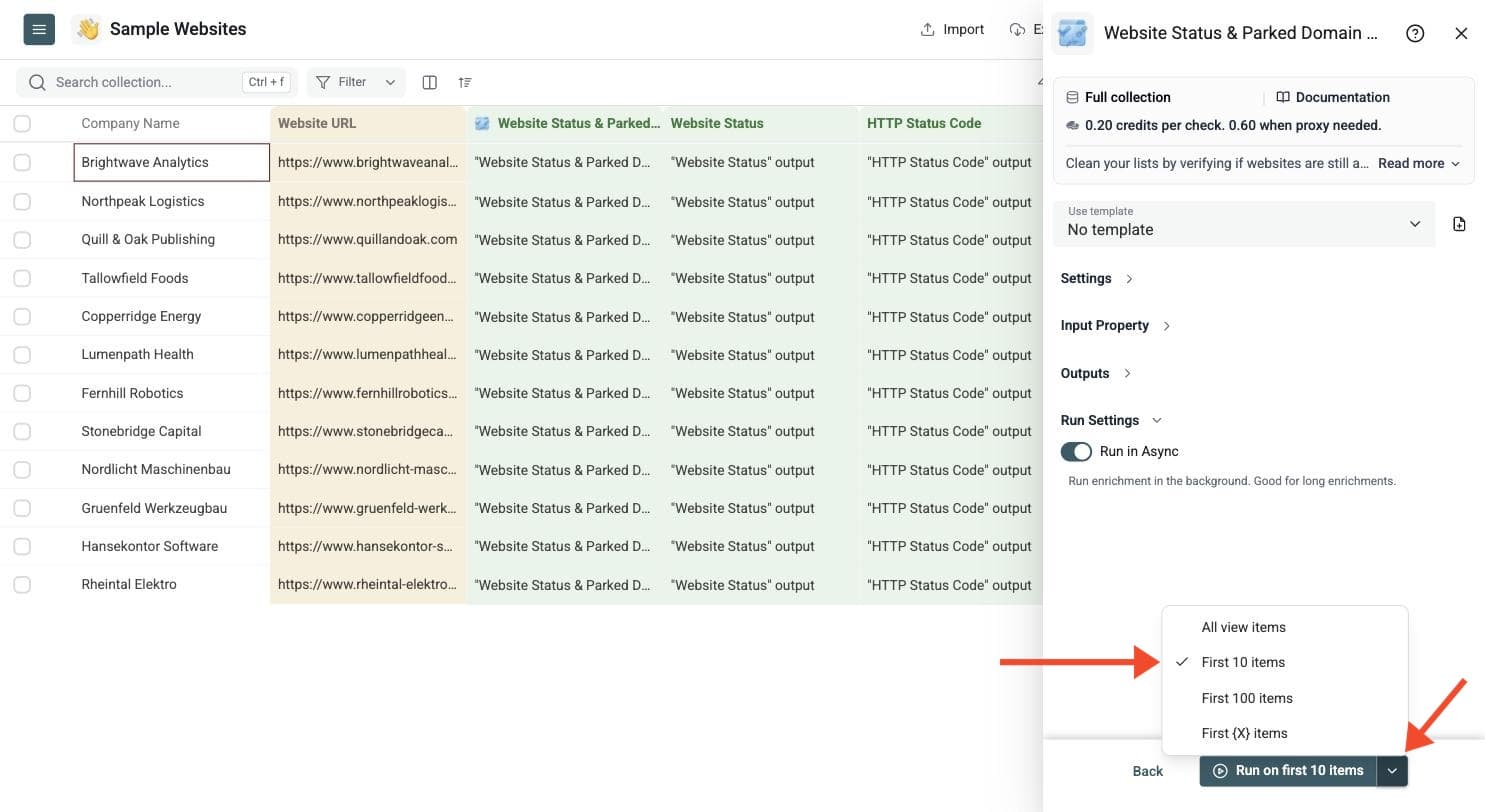 Website Status & Parked Domain Checker - Run the Enrichment