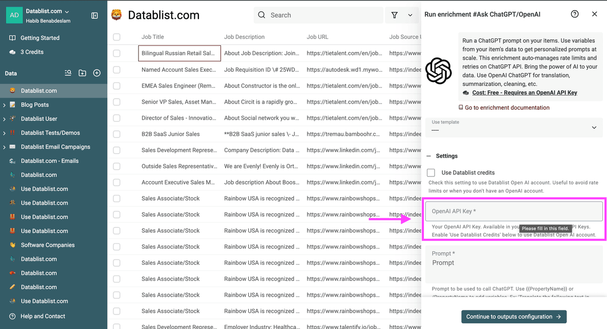 Incolla OpenAI API Key