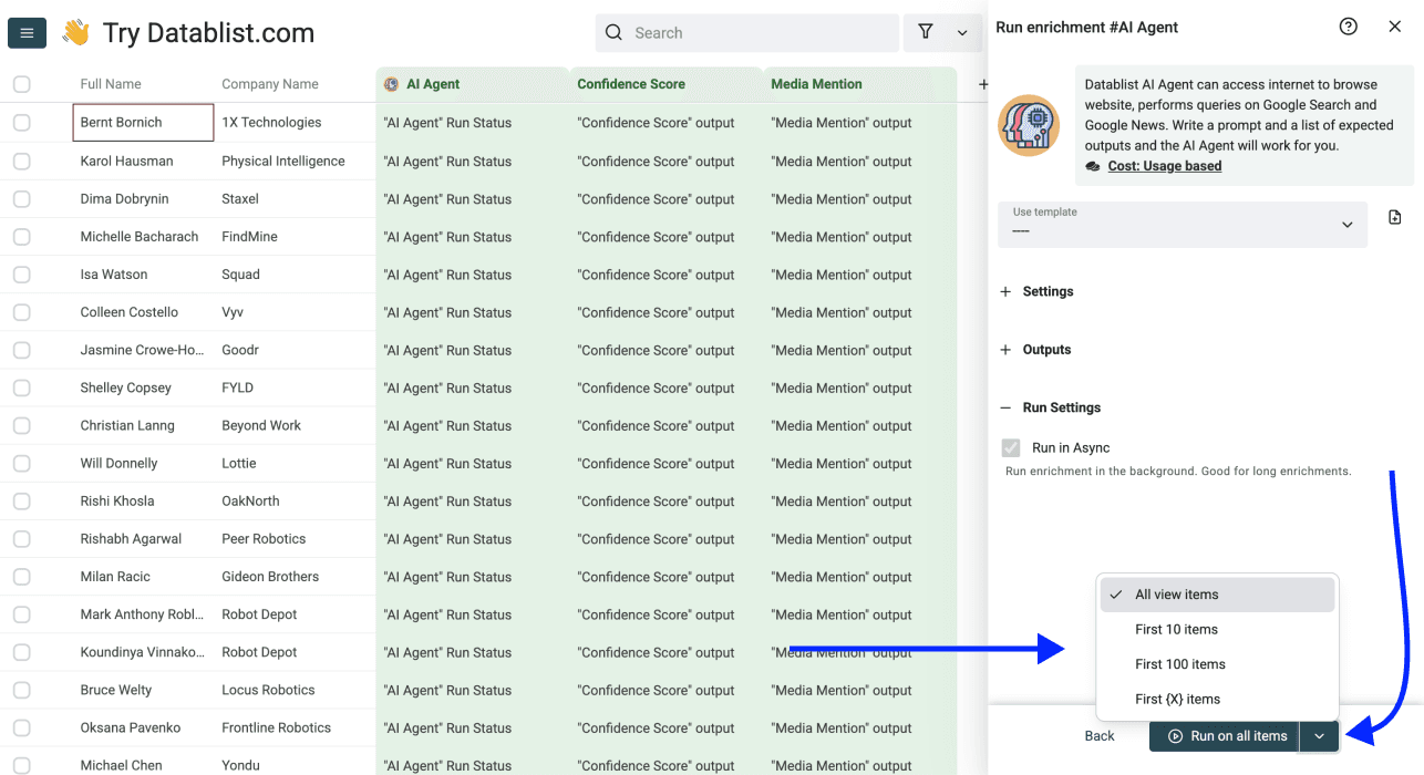 ChatGPT Search gebruiken in een spreadsheet - Run settings