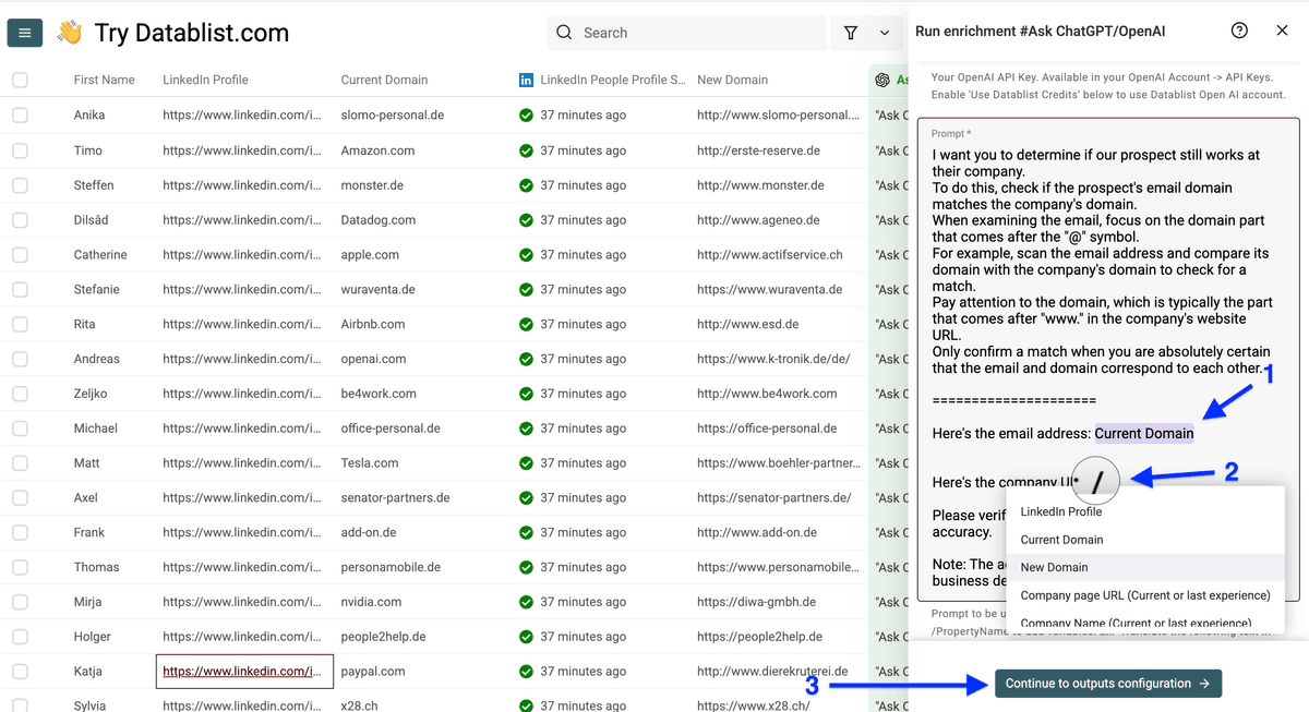 Input column mapping for employment status check AI prompt