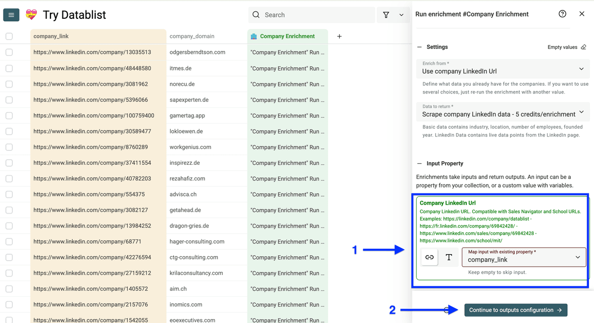 Input configuration of Datablist’s Company Enrichment