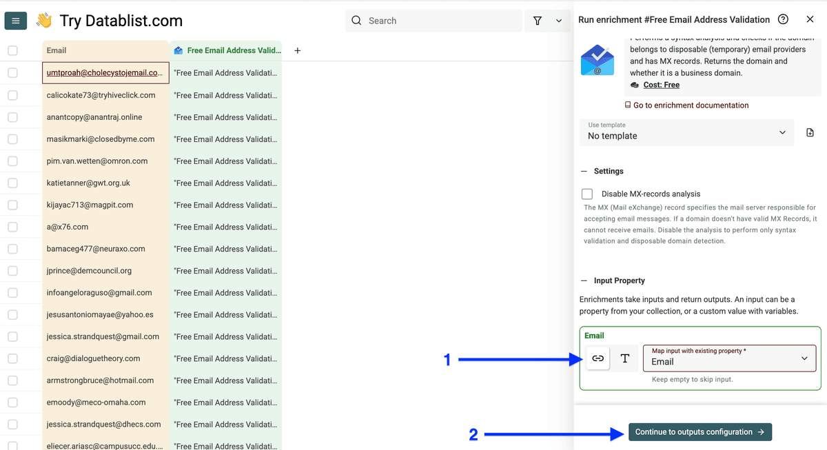Input configuration of Datablist’s free validation