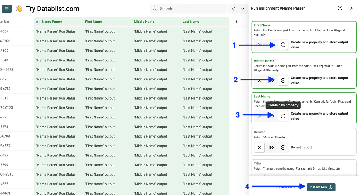 Output column configuration of Datablist’s Name Parser