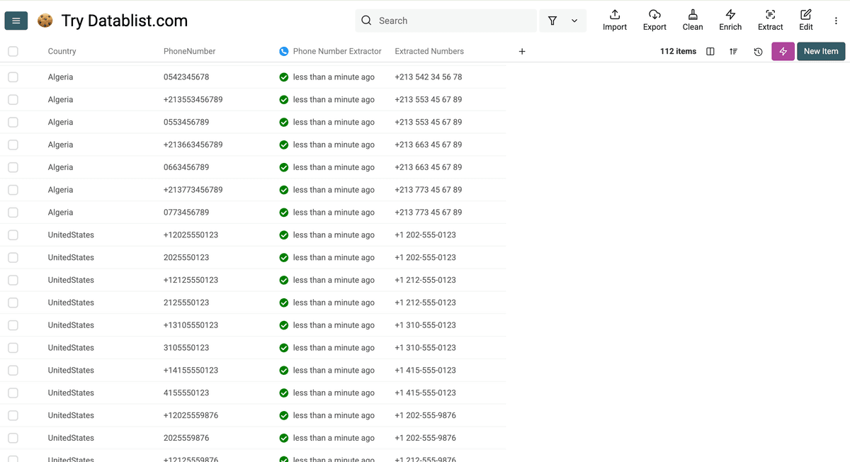 Results of Datablist’s phone number formatter