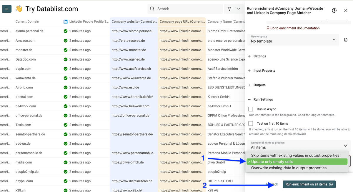 Run settings of LinkedIn page to domain enrichment