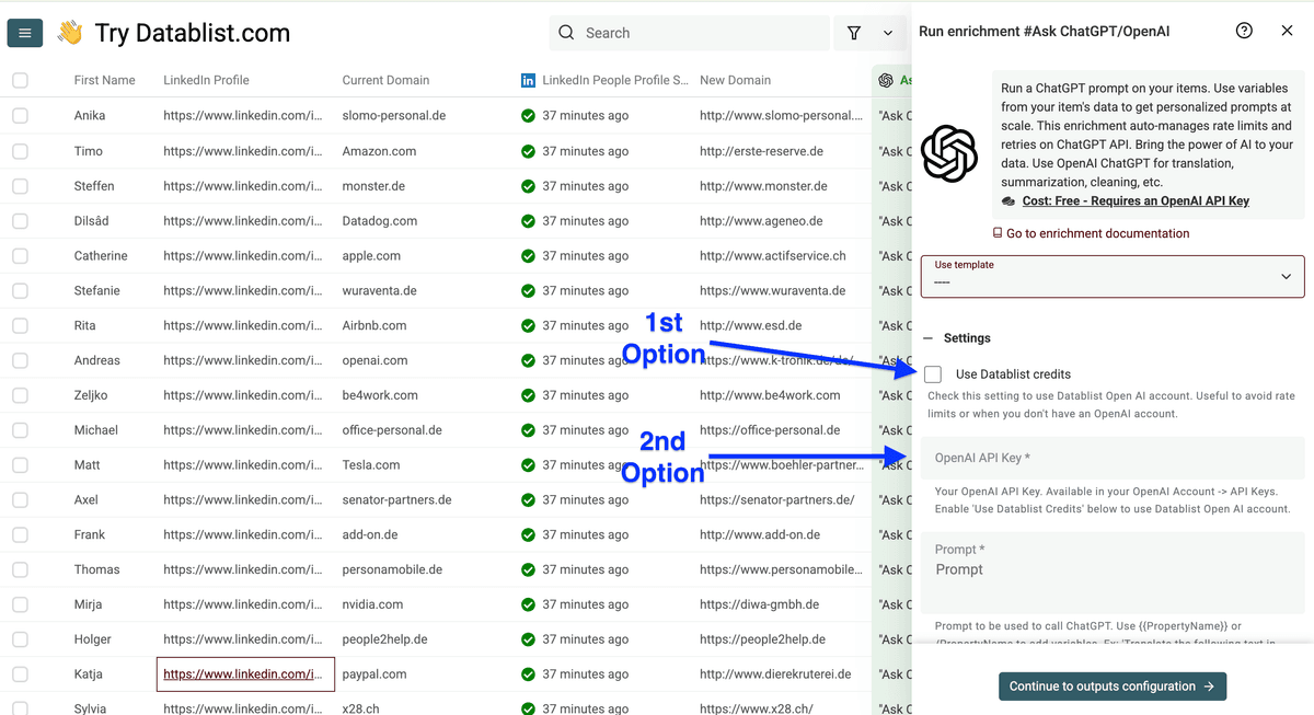 Settings of Datablist’s ChatGPT enrichment