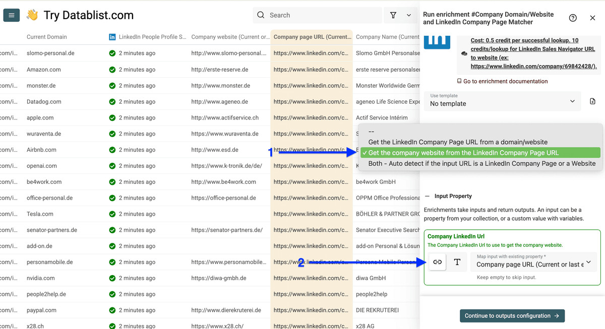 Settings of Datablist’s LinkedIn page to domain enrichment