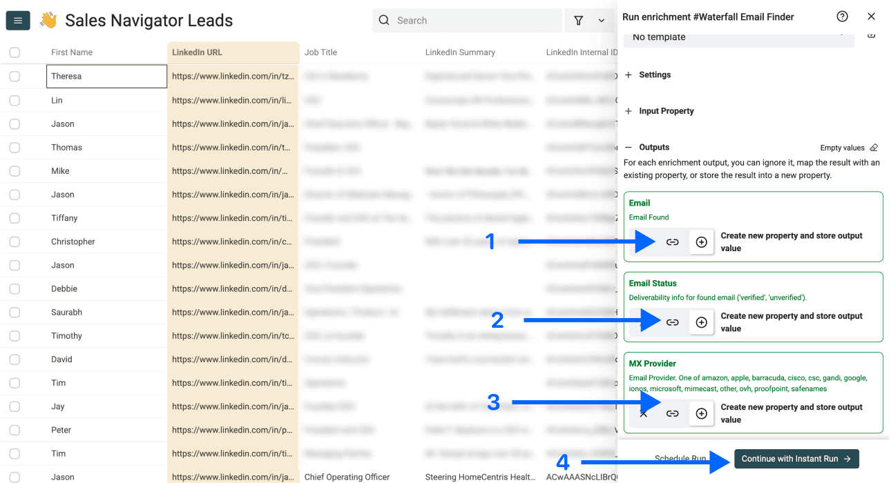 How To Create a Lead List With Emails - Outputs Selection