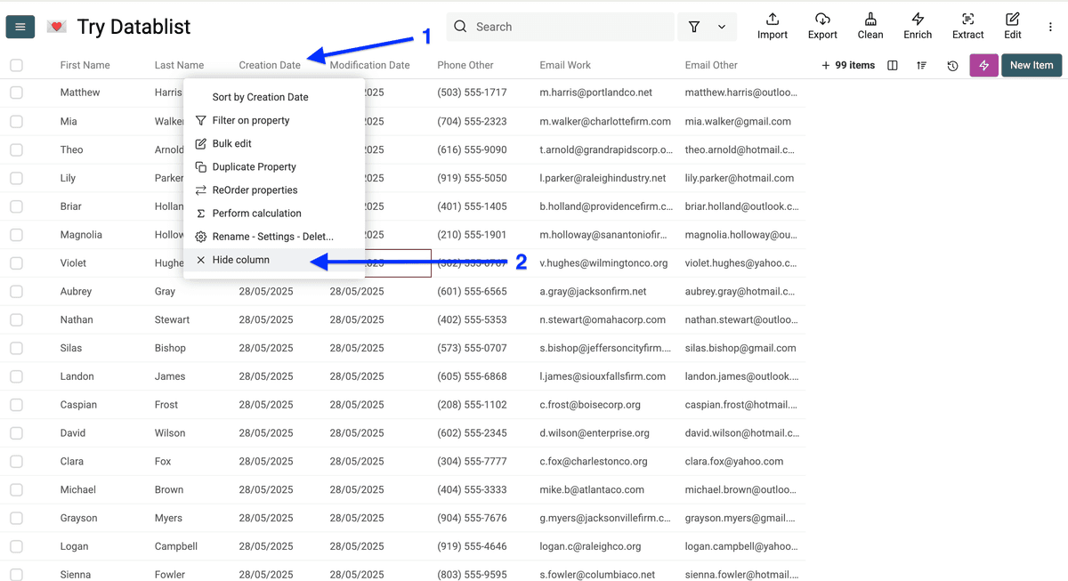Masquer les propriétés dates pour un export personnalisé