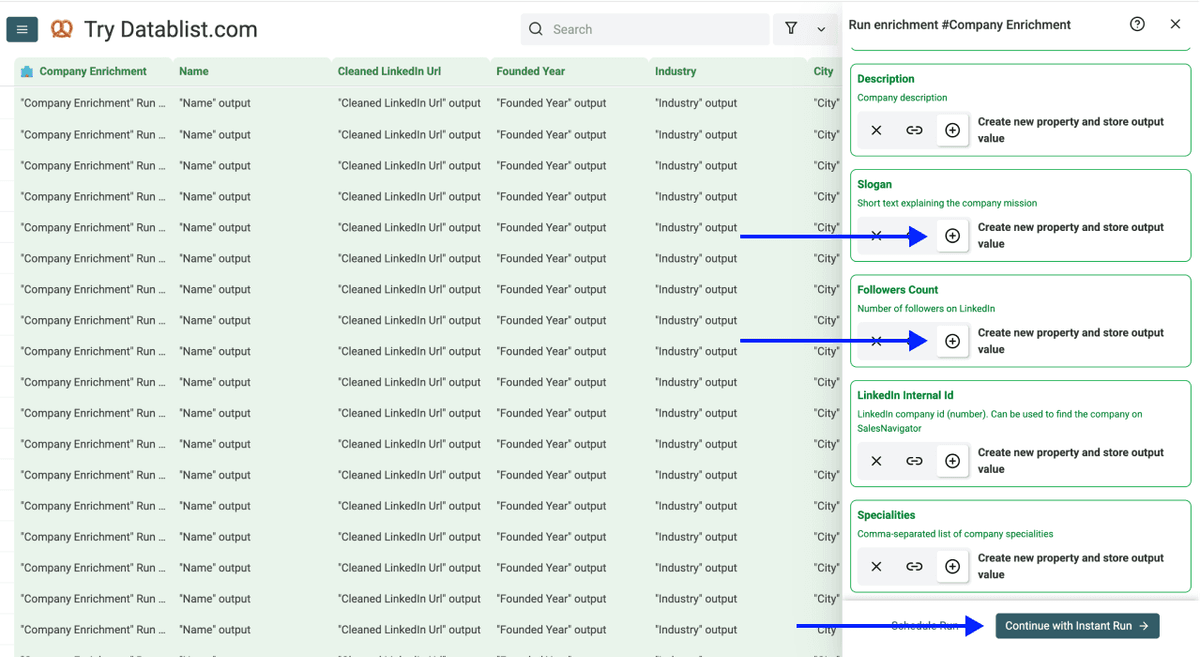 Enrich Company Data From Company Names - Company Enrichment Outputs Configuration